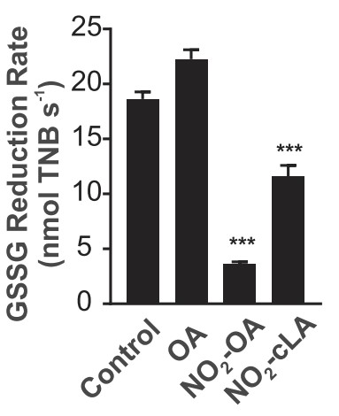 NO2-OA is a reversible covalent inhibitor of GR.jpg